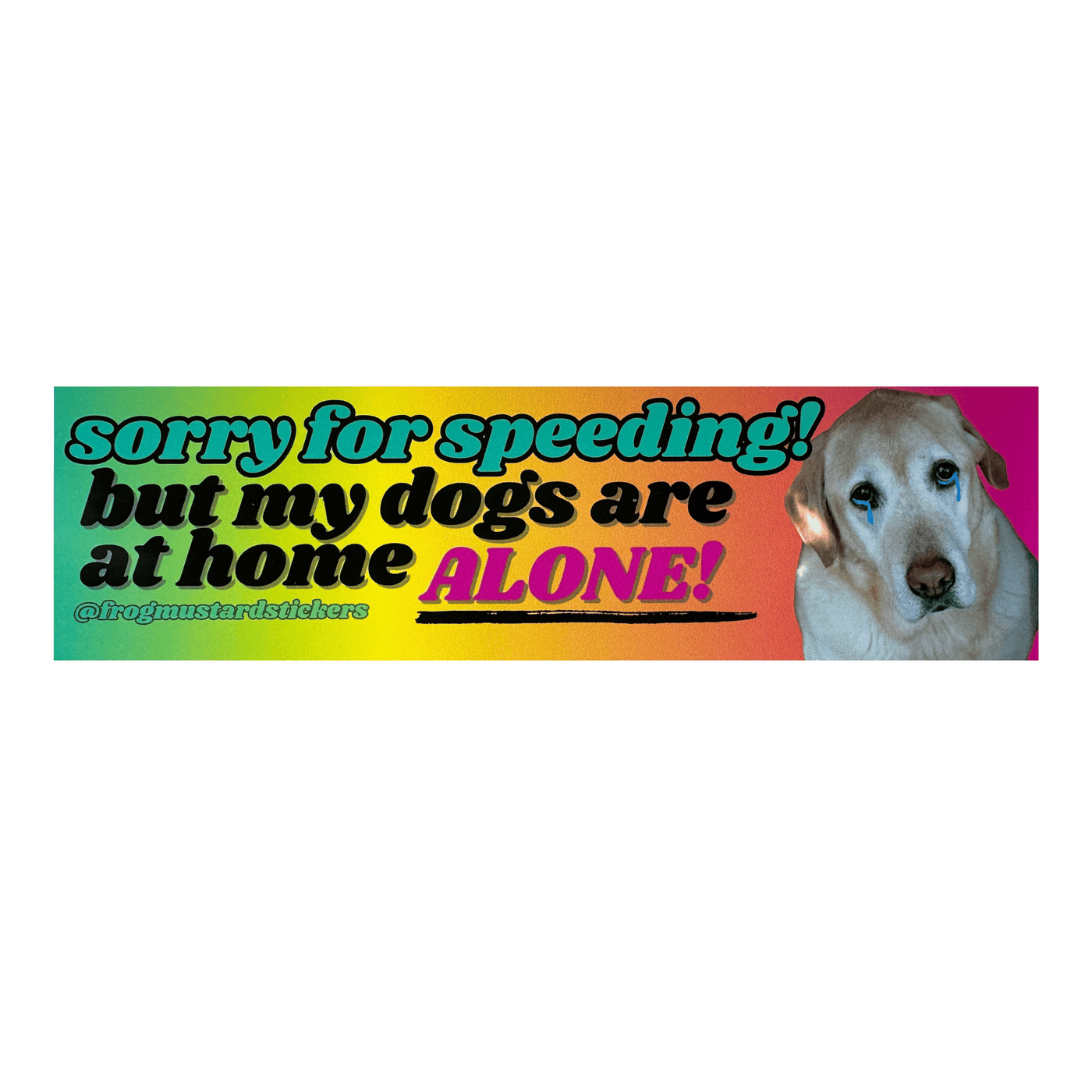 Sorry for Speeding My Dogs Are Home Alone Bumper Sticker