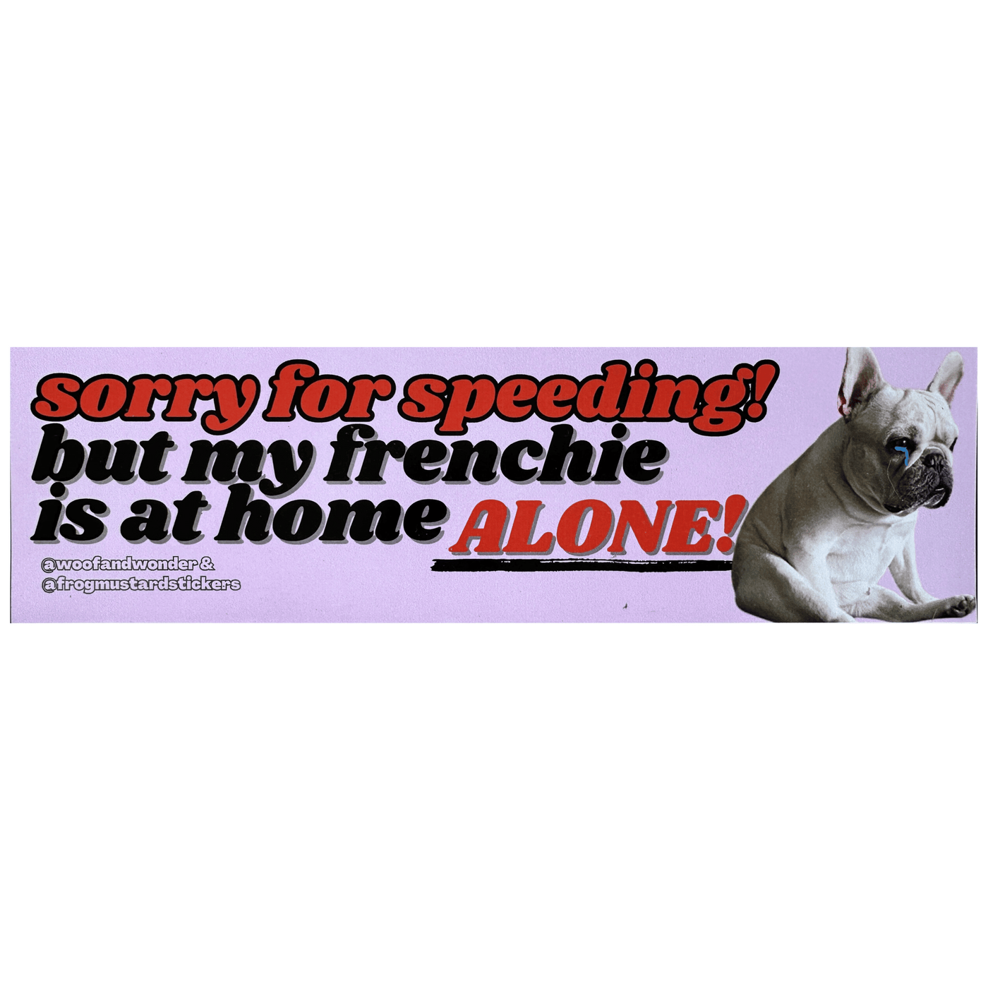 Sorry for Speeding My Frenchie Is Home Alone Bumper Sticker