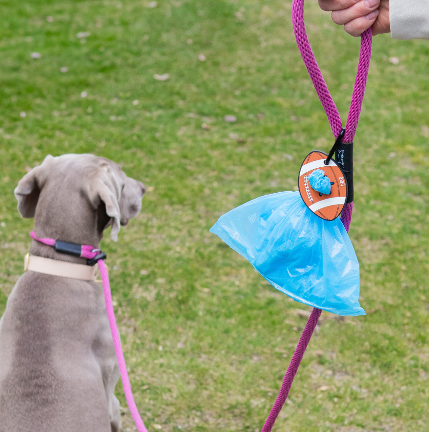 Yes, Even Your Dog’s Poop Bag Holder Can Be Cute (And Ours Might Be th ...