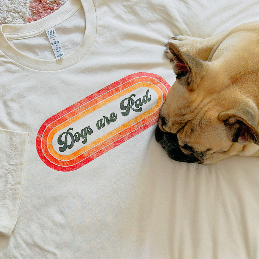 french bulldog laying on t-shirt with phrase Dogs are Rad