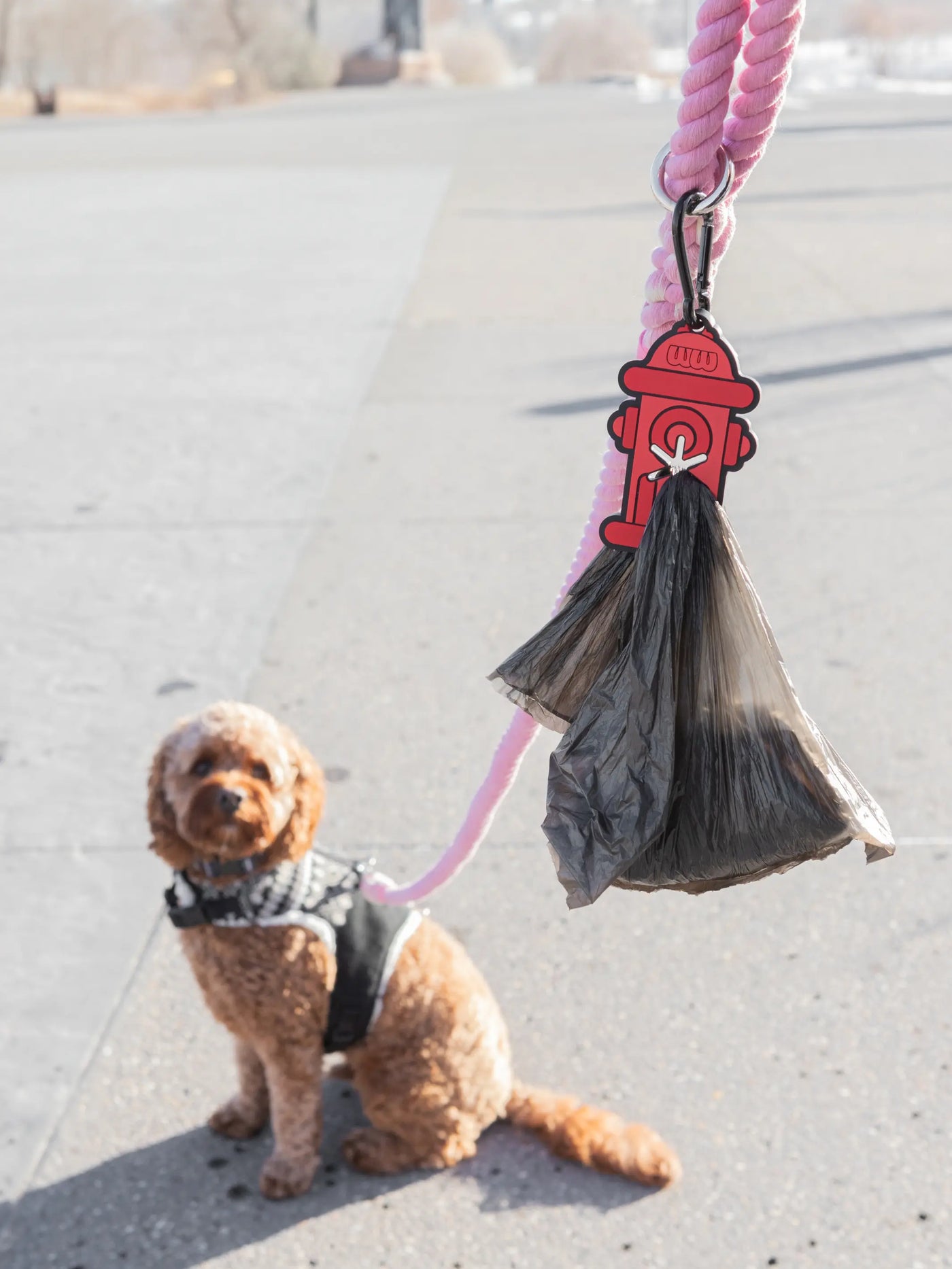 Fire Hydrant Poopy Loop