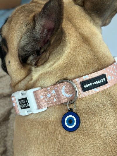 Evil Eye Dog Charm