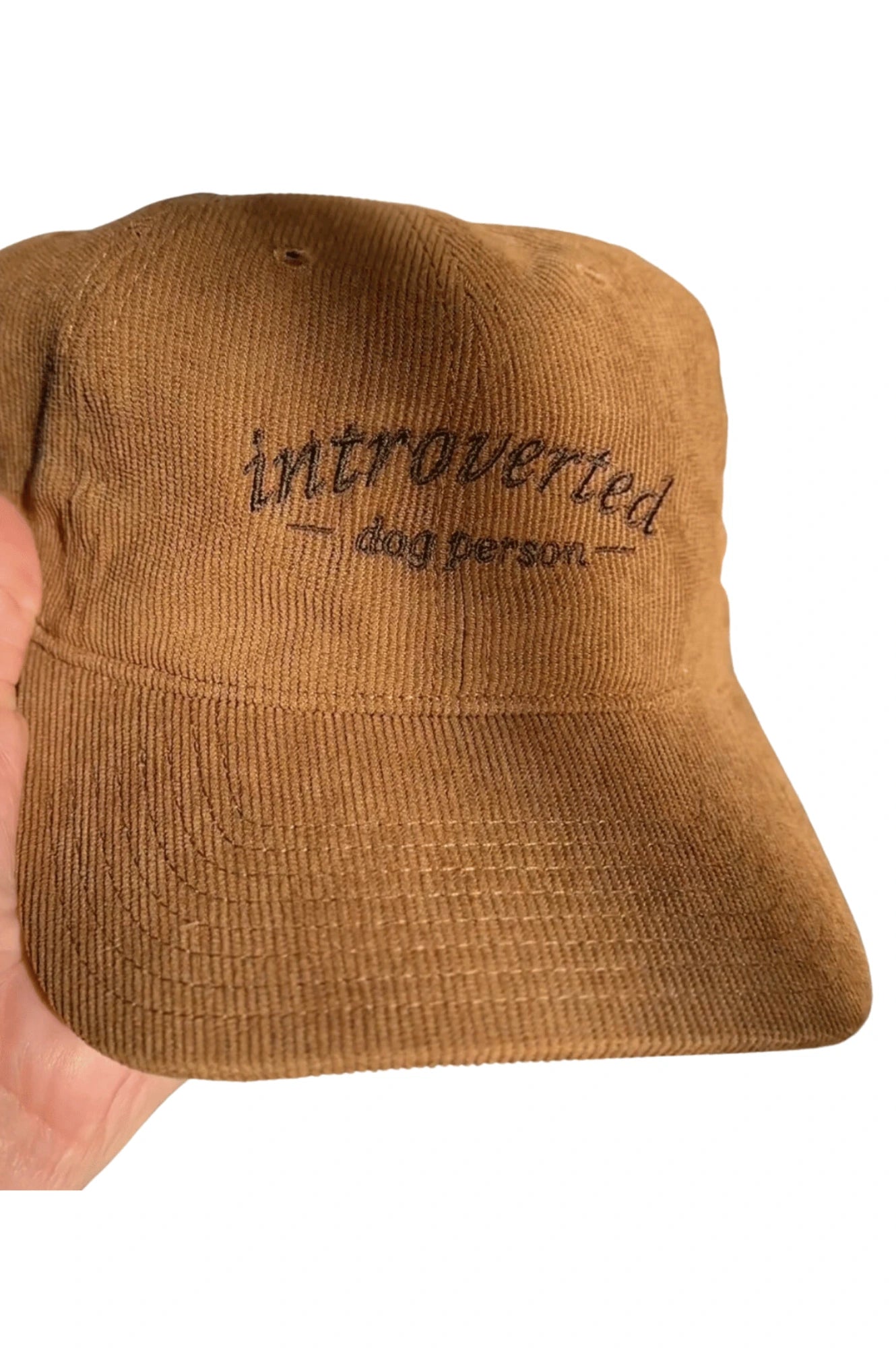 Introverted Dog Person Hat