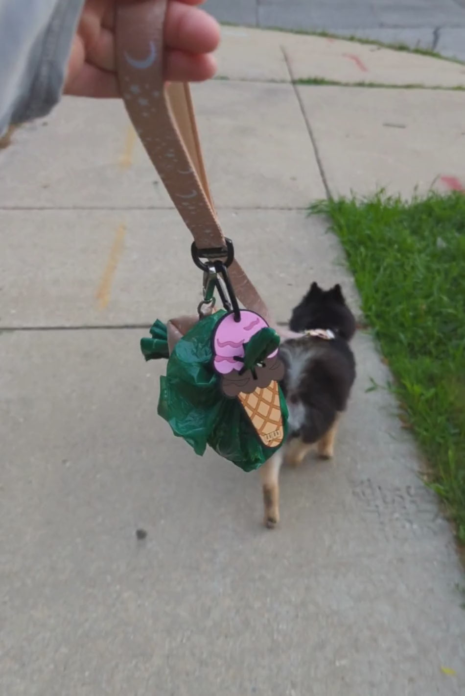 Ice Cream Cone Poopy Loop®
