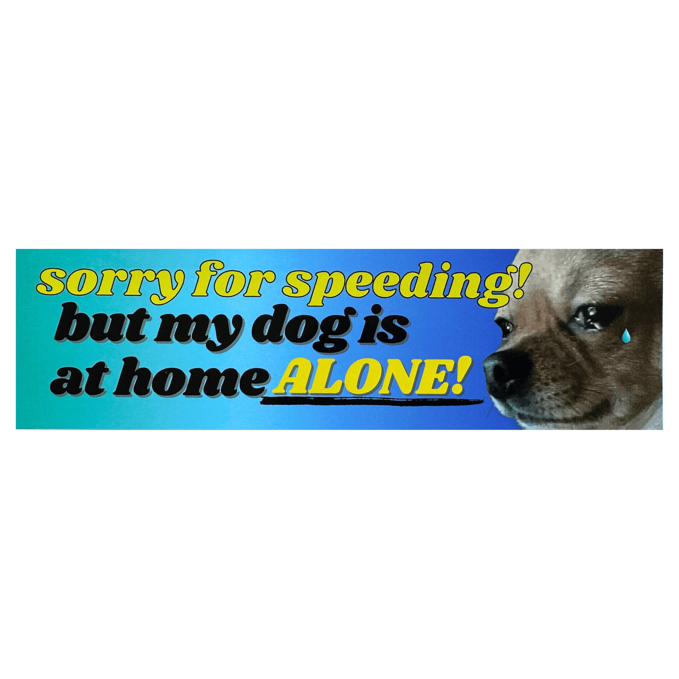 Sorry for Speeding My Dog Is Home Alone Bumper Sticker