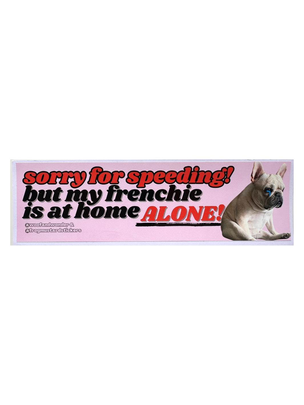 Sorry for Speeding My Frenchie Is Home Alone Bumper Sticker